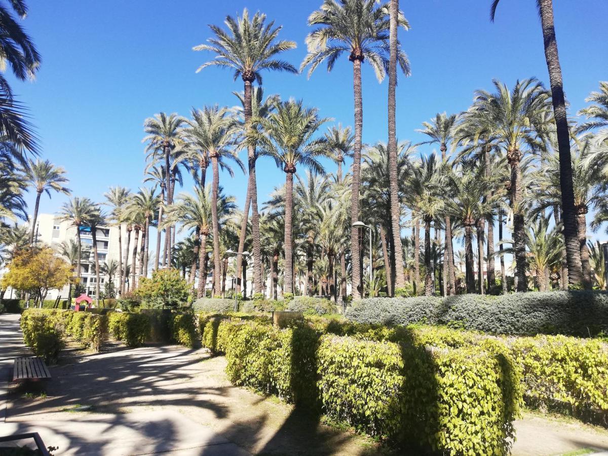 Santa Pola Salamanca 10 Apartamento, Garaje Subterraneo, Fibra Optica, Lavavajillas, Aire Acondicionado, Gran Terraza, Grand Playa 450M Εξωτερικό φωτογραφία